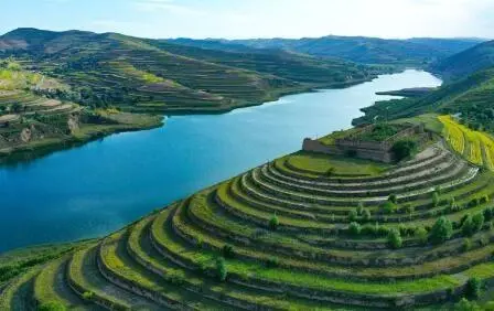 重點行業(yè)VOCs治理“一企一策”!寧夏空氣質(zhì)量持續(xù)改善行動實施方案公開征求意見